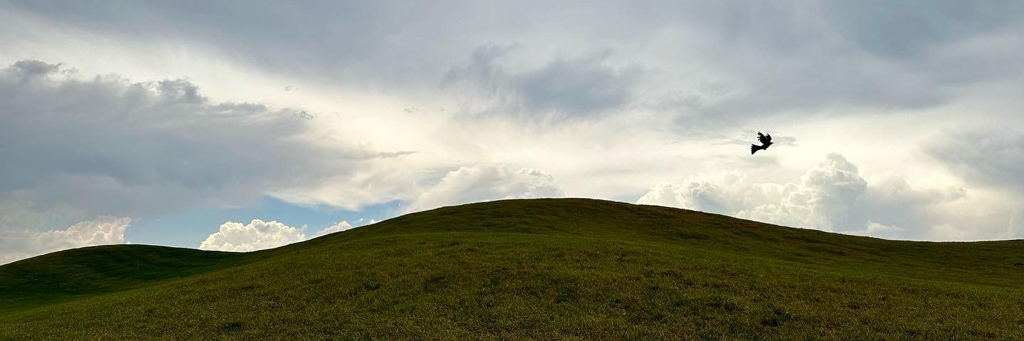 pameladeleon17's profile banner image