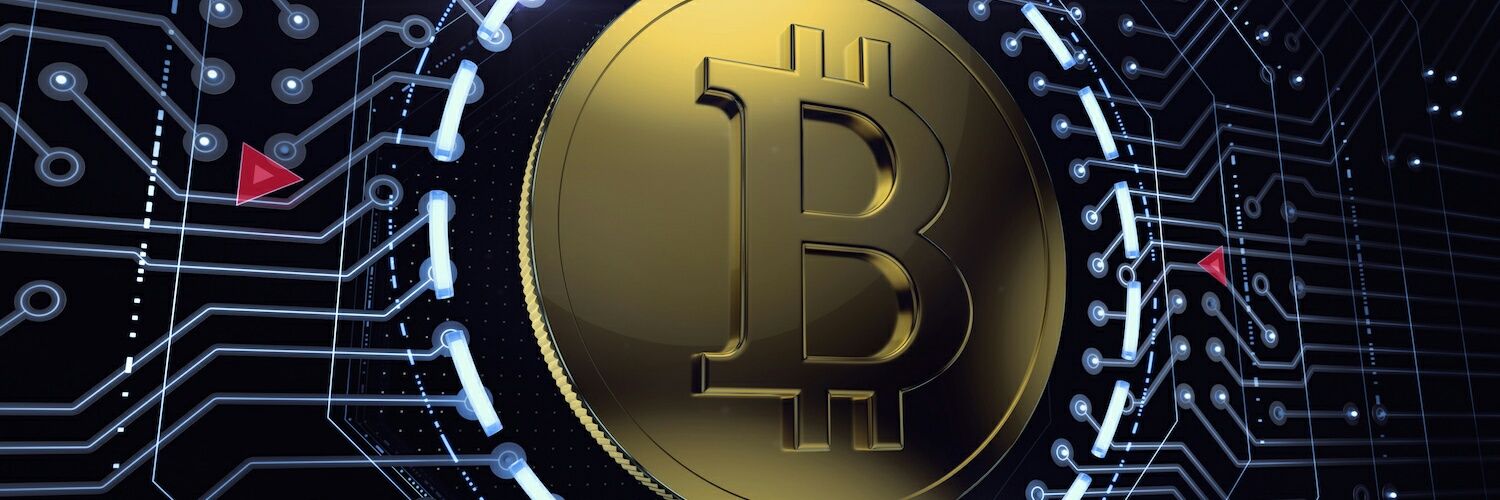 Cryptoinfogirl 🦄🌈 banner