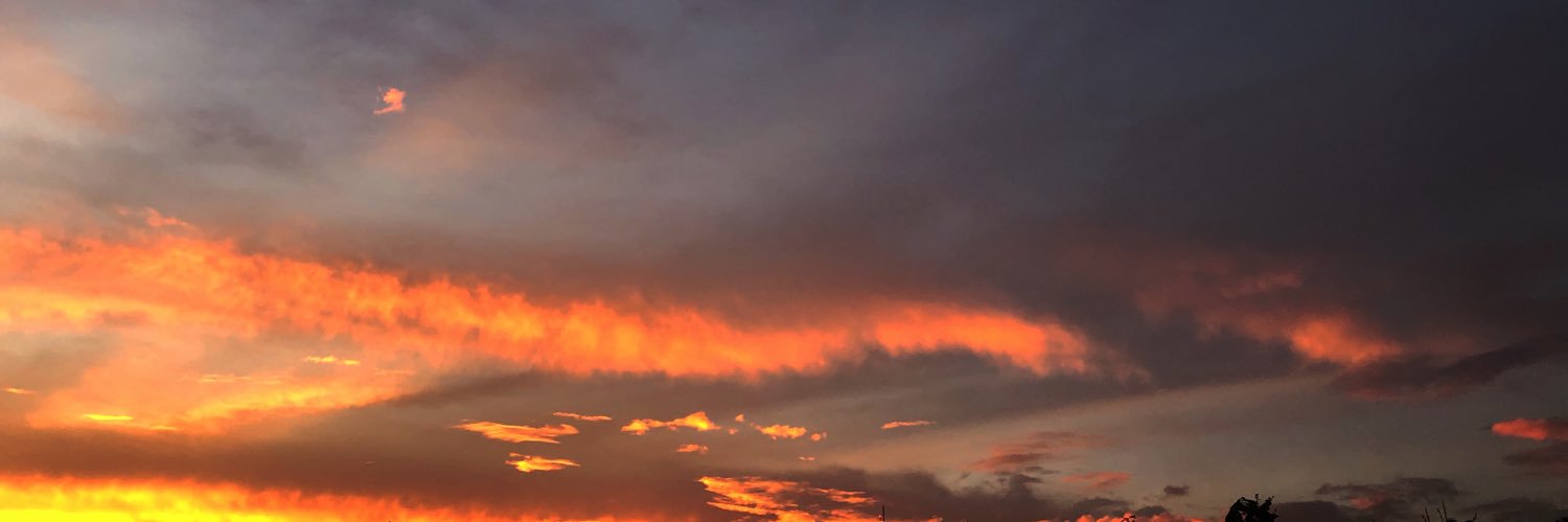 _maudyn's profile banner image