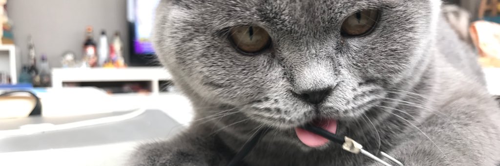 mugenaz's profile banner image