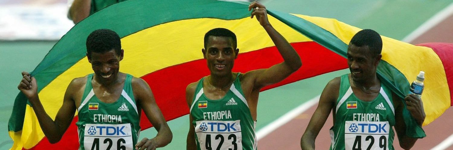 🧚🏽‍♀️ banner