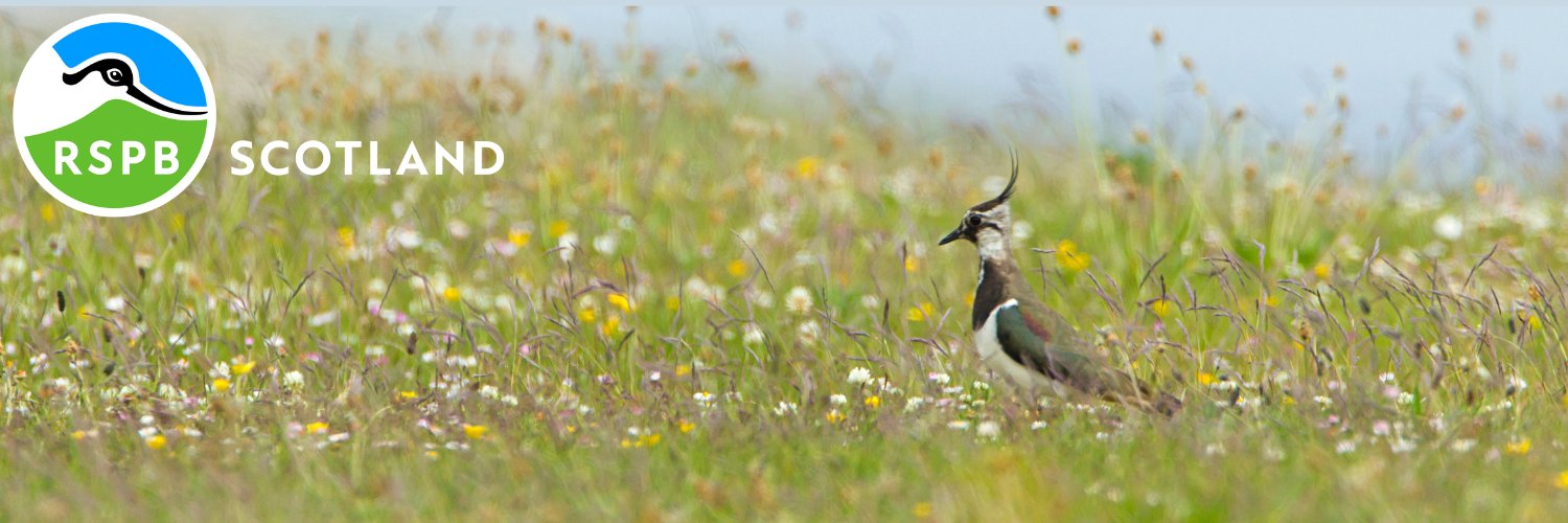 Nature of Scotland Awards's banner