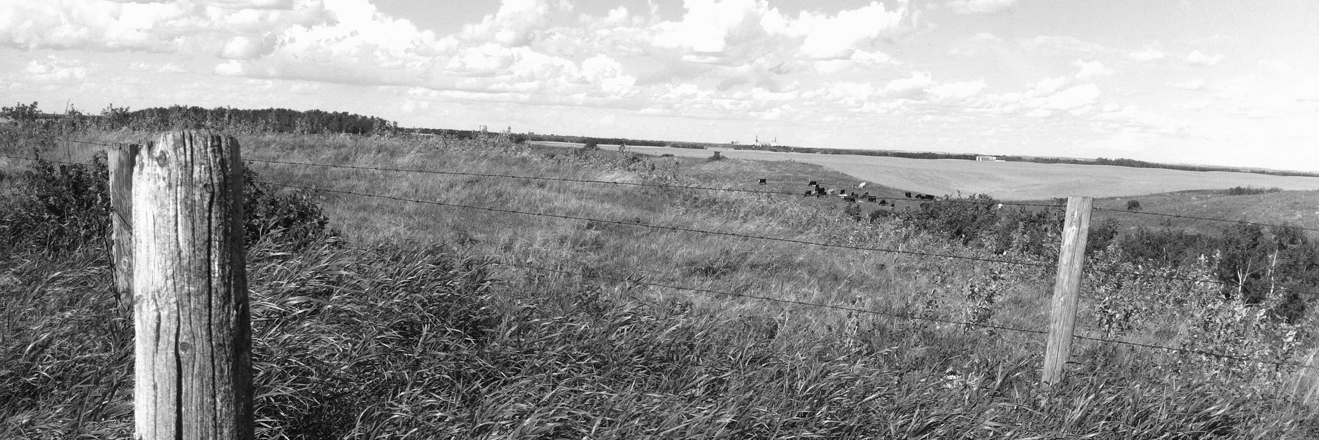 bwlovett's profile banner image