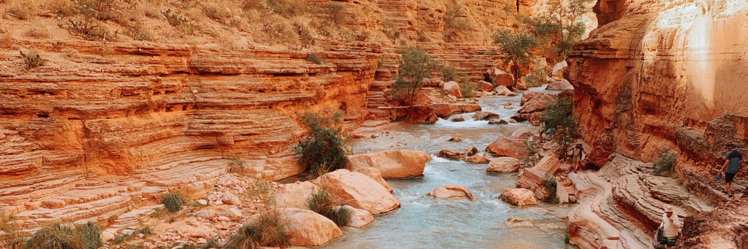arizonawild's profile banner image