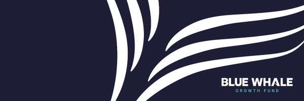 BlueWhaleCap Profile Banner