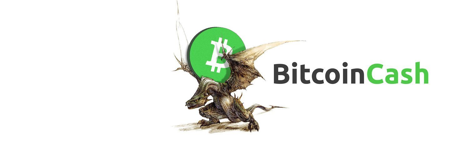 🌶CryptoWyvern#116 banner
