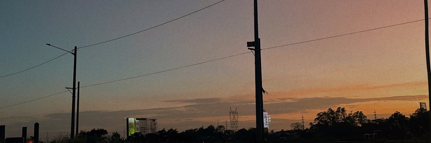 twiish_'s profile banner image