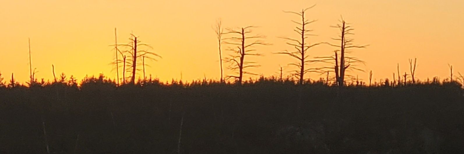 vanblaricomd's profile banner image