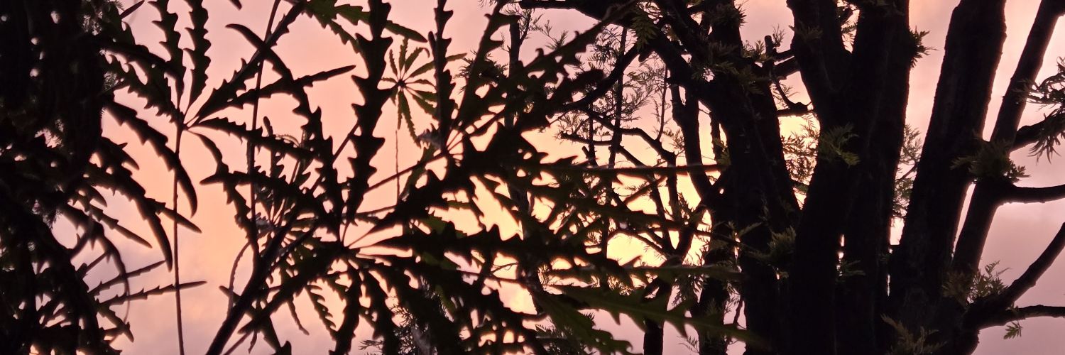 CaliforniaSun30's profile banner image