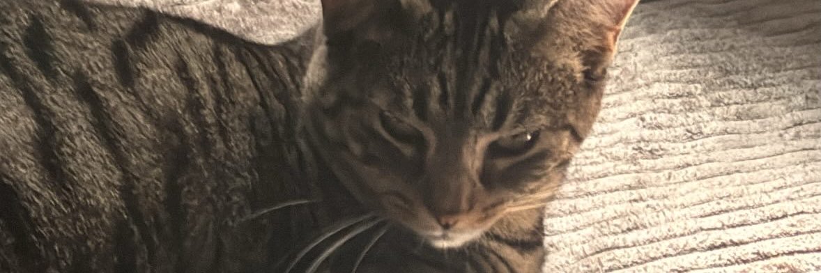 StayBoredGaddy's profile banner image