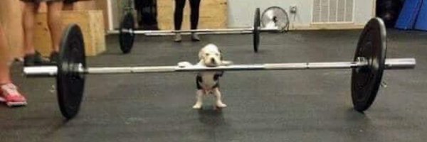 MikeRevoltt Profile Banner