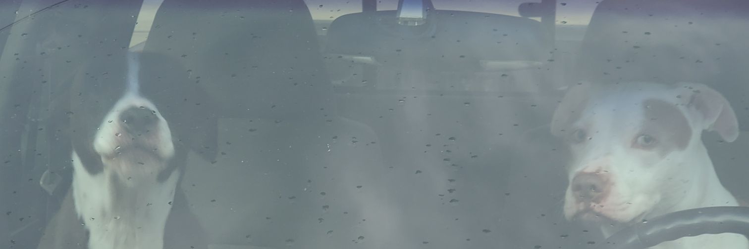 MelvinLarson14's profile banner image