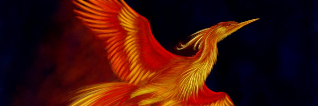 Hayley Molinaro banner