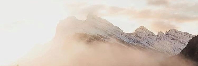 Audrey EXPOSTO banner