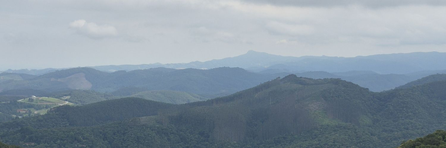 VedovVictor's profile banner image