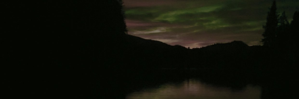 zdot5's profile banner image