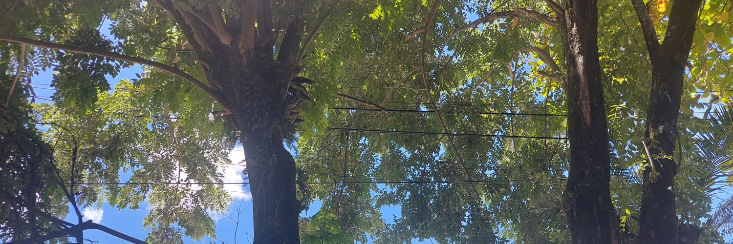 FranzCast1's profile banner image