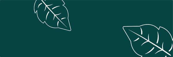 Bellivyinc Profile Banner