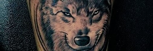 Dajer 🏝️ banner