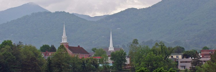 Rex Hodge banner