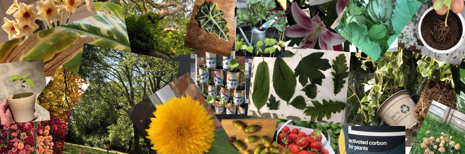 SimpleTreeLDN's profile banner image