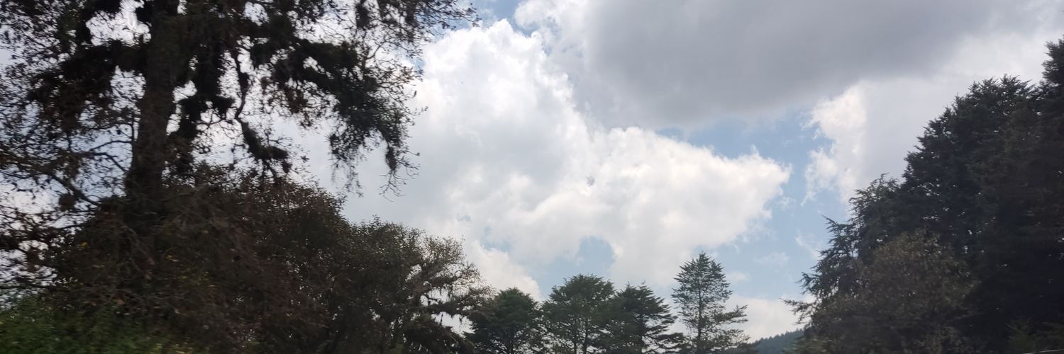 imapoldog's profile banner image