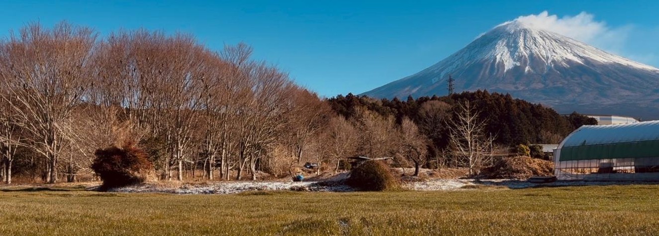 にーな banner