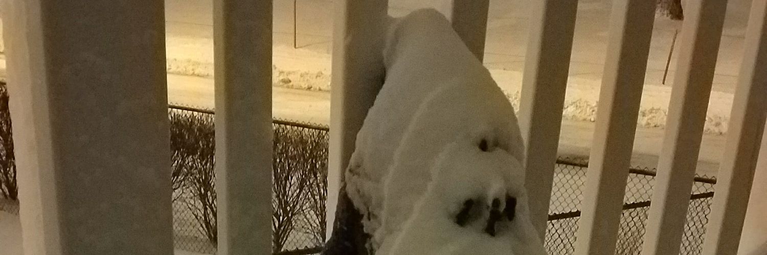 Alyxandasaur.bsky.social banner