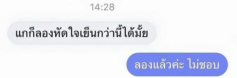 เลซี่ วันเดอร์ banner