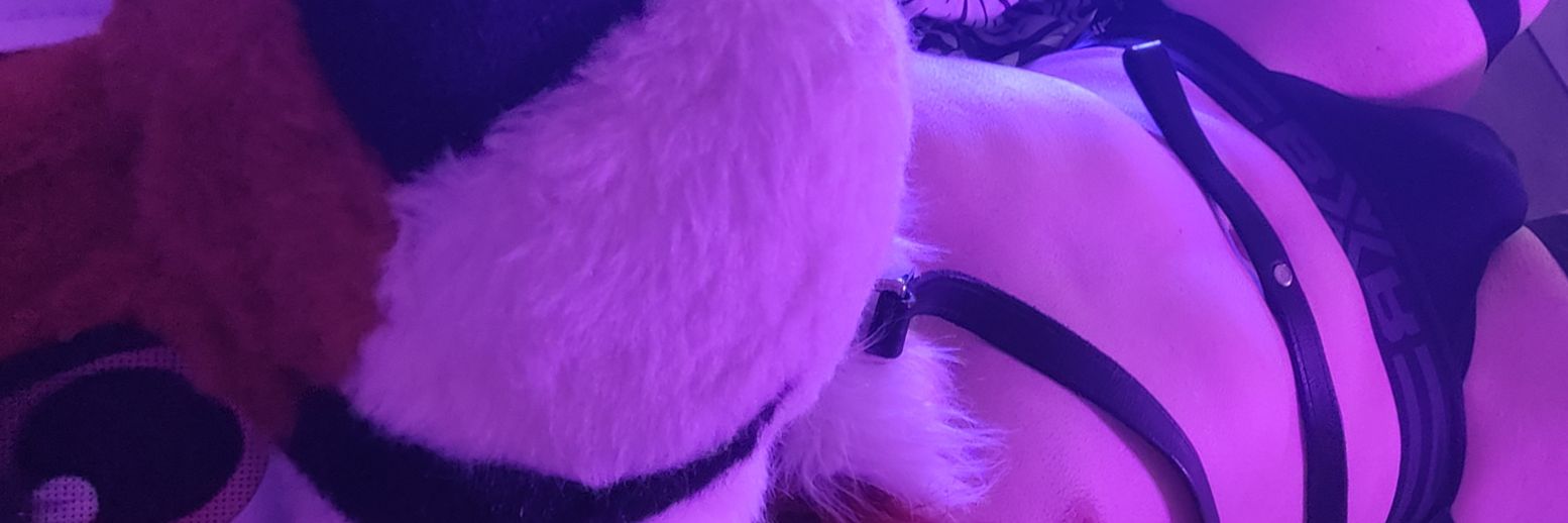 Korinn the horny fox 🦊 ⛓️🔞 banner