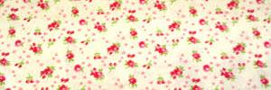FloorNiere's profile banner image
