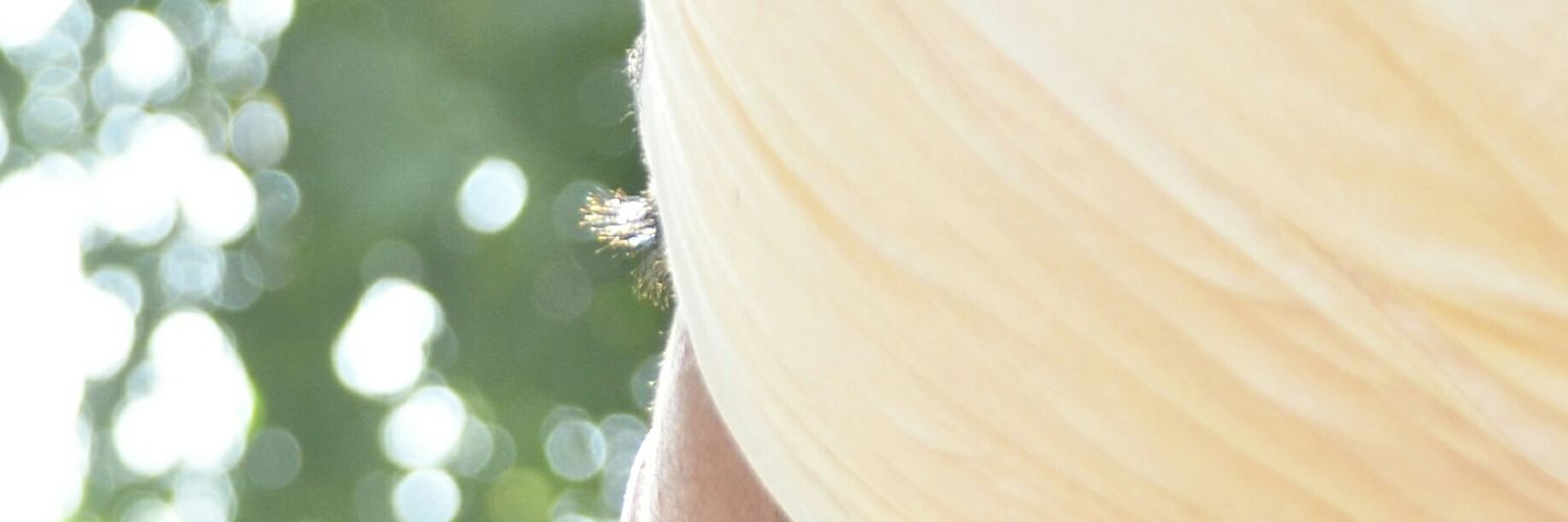 NavroseKalsi's profile banner image