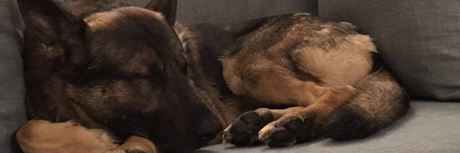 🌈 RPD Boots (R.I.P) & GSD Zeus banner