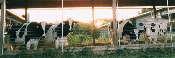 mansal23 Profile Banner