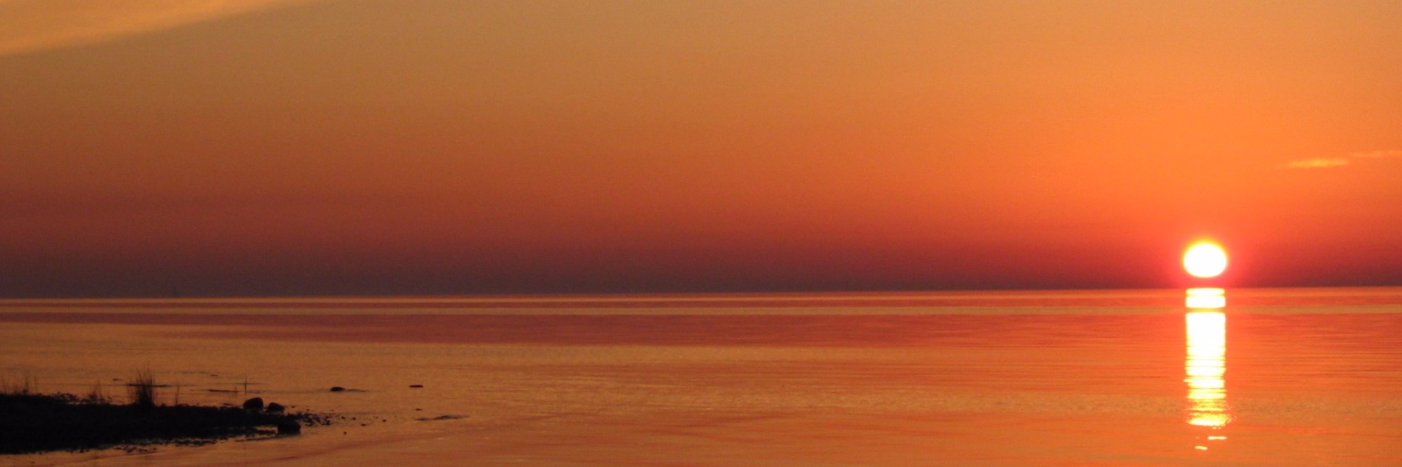 Michele Chabitch banner