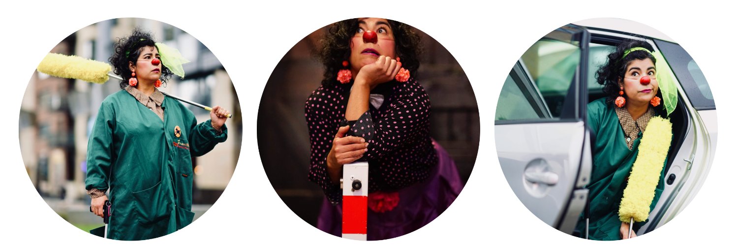 Dublin Circus Project banner