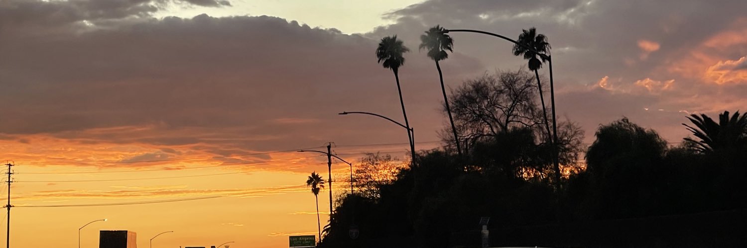 ilsejaramillo_'s profile banner image