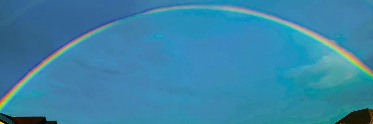 The_Liberal_Libra_ banner