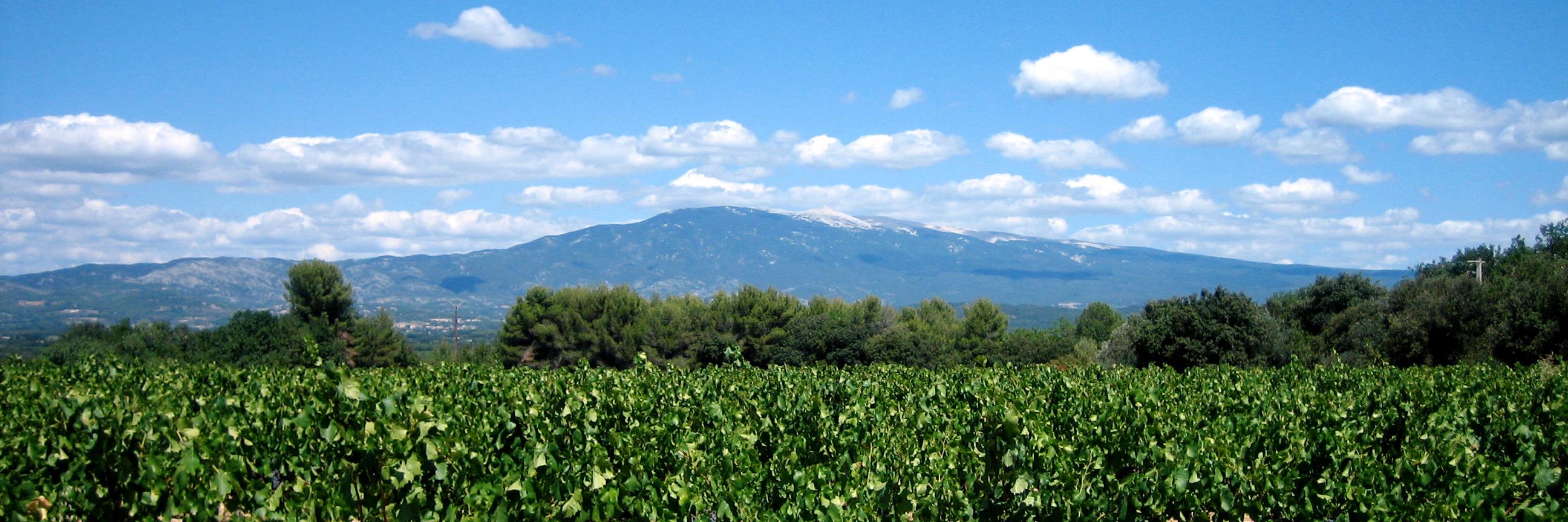 manubrun's profile banner image
