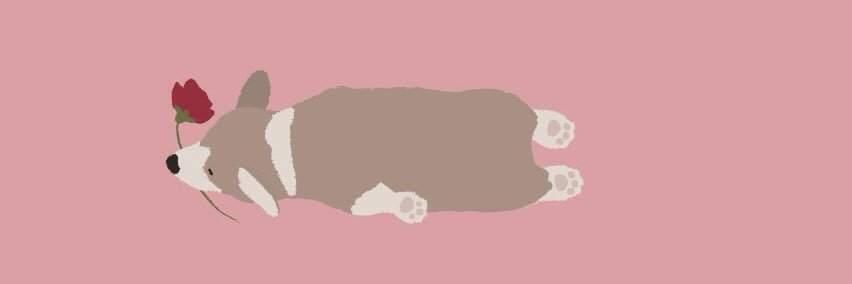 mimkns's profile banner image