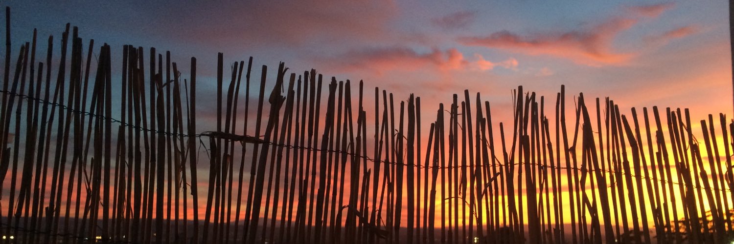 MariaRLlinares's profile banner image