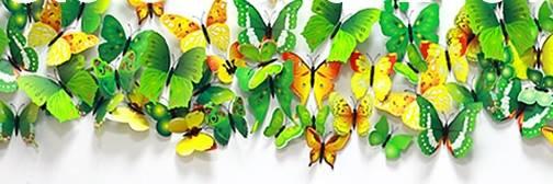 Graca_Guerra's profile banner image