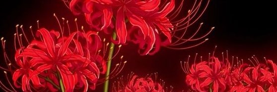 Ally 🌙 | VTuber • banner