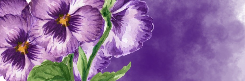LJViolette's profile banner image