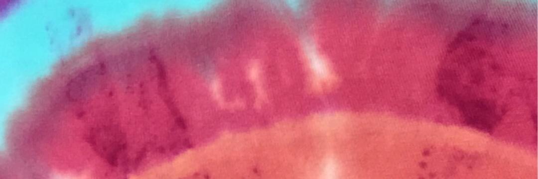 marissaneilan's profile banner image