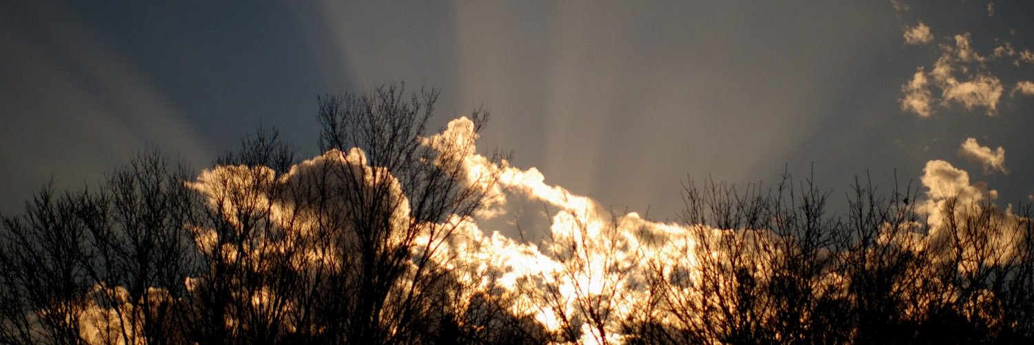 HorseFilms's profile banner image