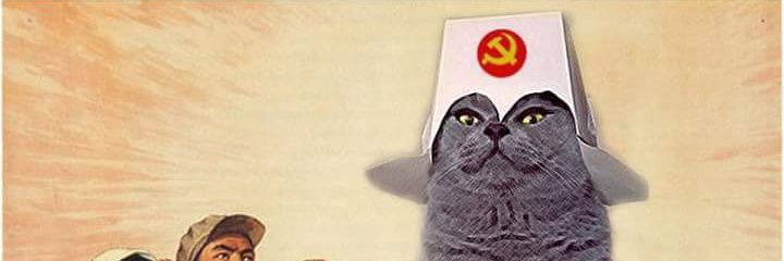 ivan_NewsMex's profile banner image