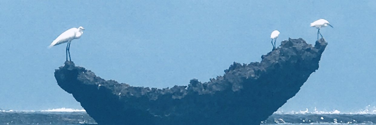 Martafon3's profile banner image
