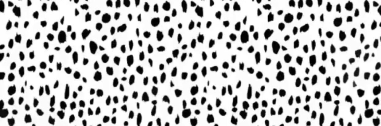 abbyykirk's profile banner image