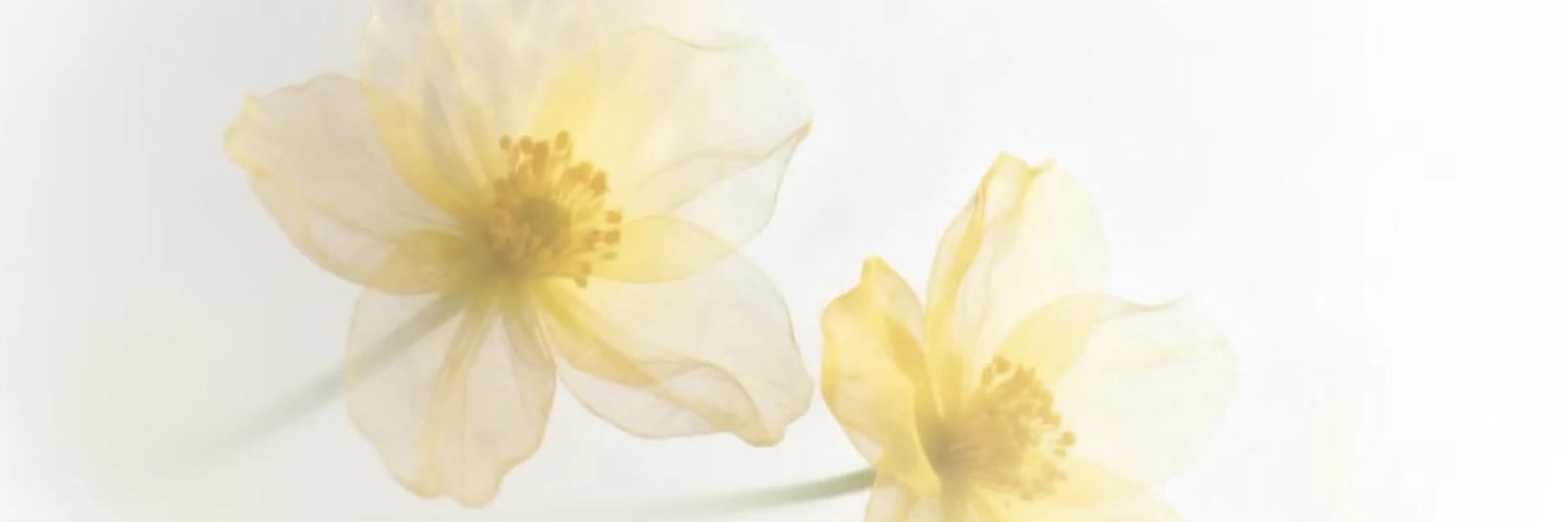 __reO38's profile banner image